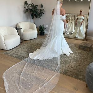 Cathedral length pearl veil